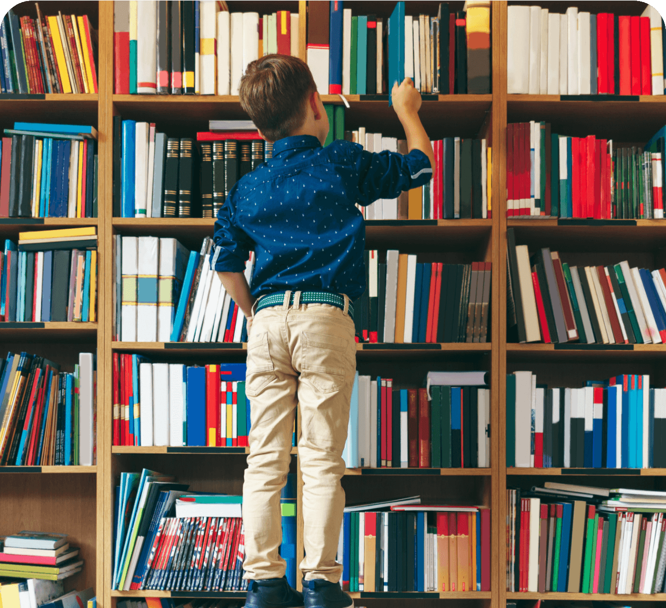 5 Attractive Bookstore WordPress Themes